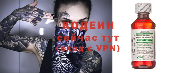 хмурый Арсеньев