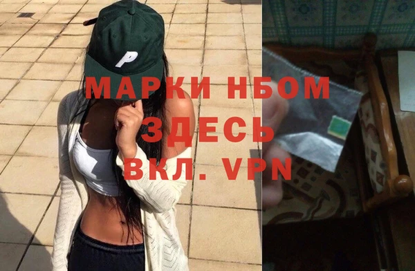 хмурый Арсеньев