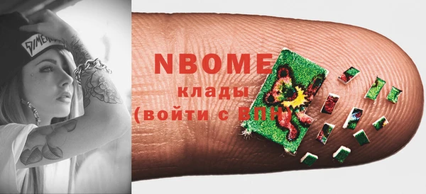 хмурый Арсеньев