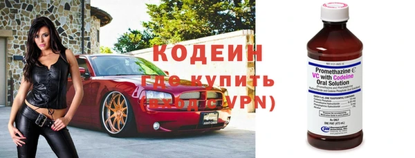 хмурый Арсеньев